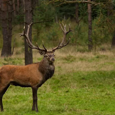 Gastenhuys Apeldoorn